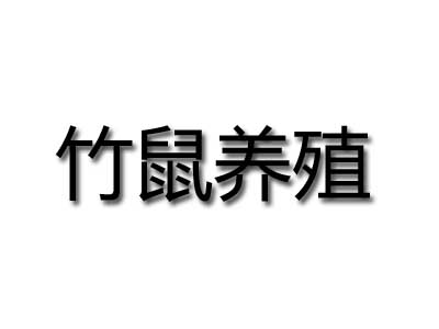 竹鼠养殖品牌LOGO