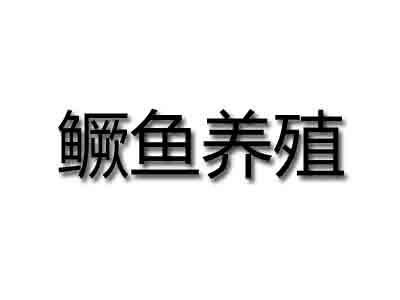 鳜鱼养殖品牌LOGO