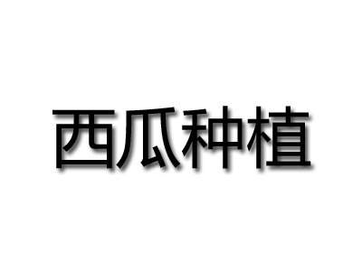 西瓜种植品牌LOGO