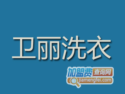 卫丽洗衣品牌LOGO