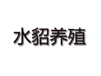 水貂养殖品牌LOGO