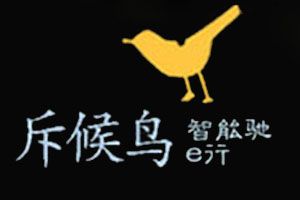 斥候鸟智能e镜品牌LOGO