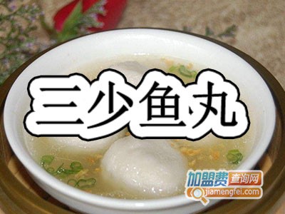 三少鱼丸加盟费