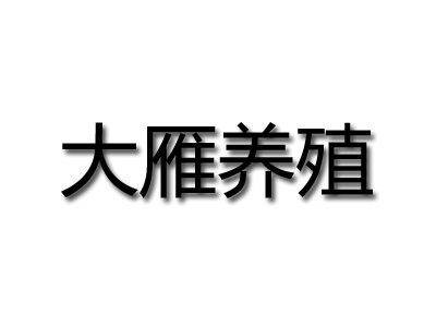 大雁养殖品牌LOGO