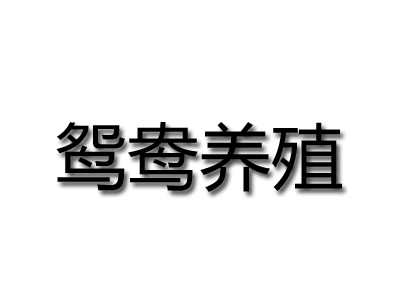 鸳鸯养殖加盟