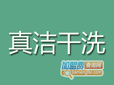 真洁干洗品牌LOGO