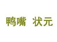 鸭嘴状元品牌LOGO