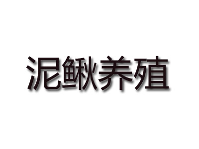 泥鳅养殖品牌LOGO