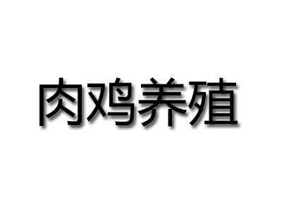 肉鸡养殖加盟