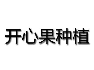 开心果种植品牌LOGO