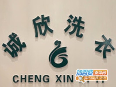 诚欣洗护管家品牌LOGO