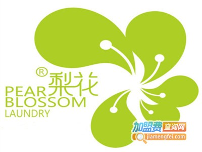 梨花干洗店品牌LOGO