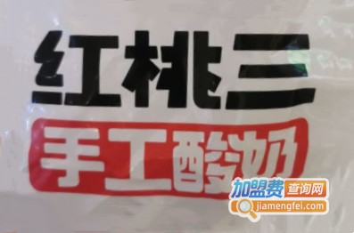 红桃三手工酸奶加盟