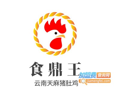 食鼎王云南天麻猪肚鸡品牌LOGO