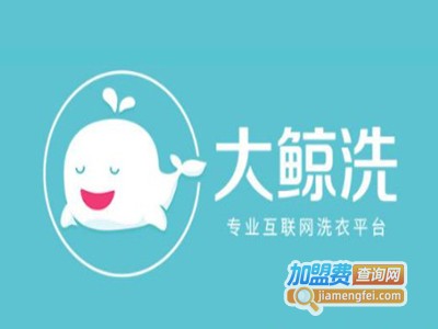 大鲸洗干洗品牌LOGO