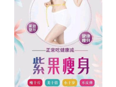 紫果瘦身加盟加盟费
