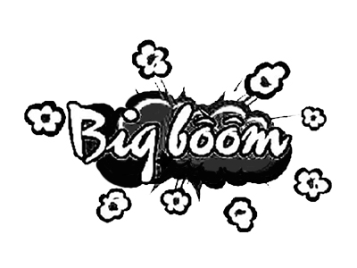 bigboom韩国炸鸡加盟加盟费