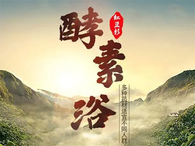 红豆杉酵素浴加盟加盟