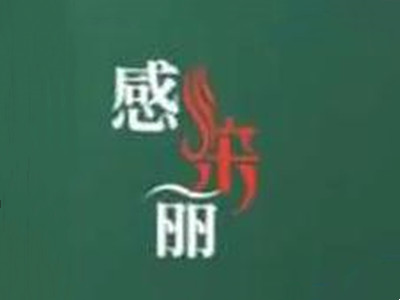 感染丽生态染发加盟加盟费