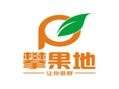 攀果地加盟加盟费