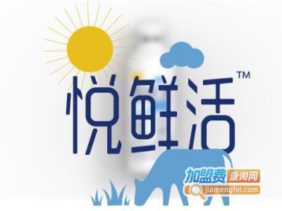 悦鲜活牛奶加盟加盟