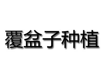 覆盆子种植品牌LOGO