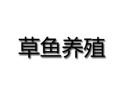 草鱼养殖品牌LOGO