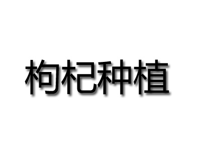 枸杞种植品牌LOGO