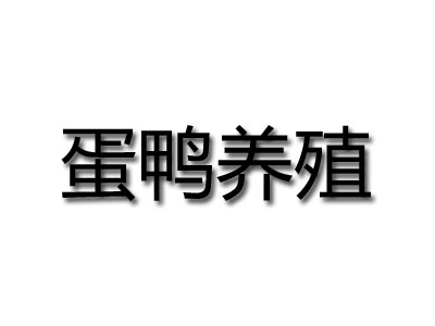 蛋鸭养殖品牌LOGO