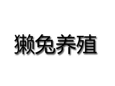 獭兔养殖品牌LOGO