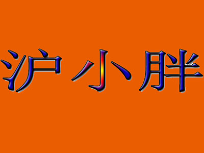 沪小胖加盟费