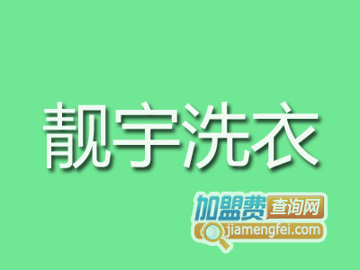 靓宇洗衣品牌LOGO