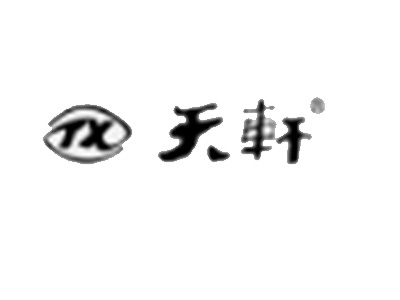 天轩女装品牌LOGO