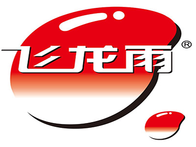 飞龙雨品牌LOGO