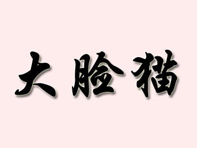 大脸猫牛仔裤品牌LOGO