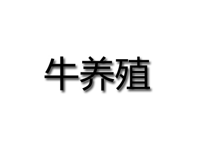 牛养殖品牌LOGO