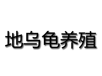 地乌龟养殖品牌LOGO