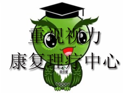 重视视力康复理疗中心加盟费