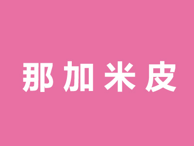那加米皮加盟费