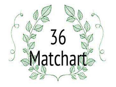 36MATCHART品牌LOGO