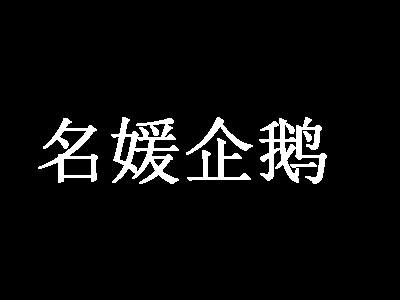 名媛企鹅内衣品牌LOGO