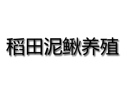 稻田泥鳅养殖品牌LOGO