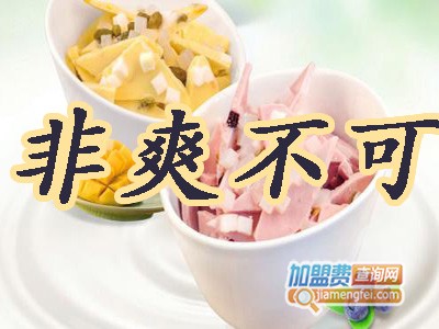 非爽不可炒酸奶加盟