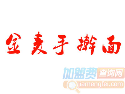 金麦手擀面加盟费