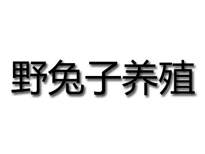 野兔子养殖加盟费