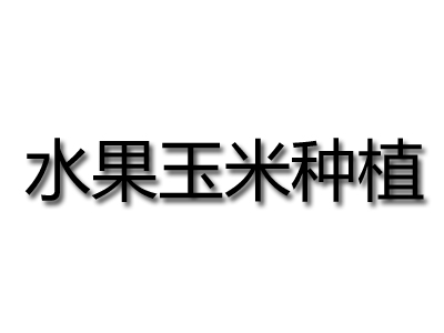 水果玉米种植品牌LOGO