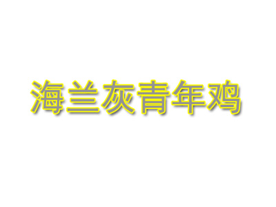 海兰灰青年鸡品牌LOGO