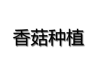 香菇种植品牌LOGO