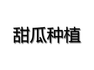 甜瓜种植品牌LOGO