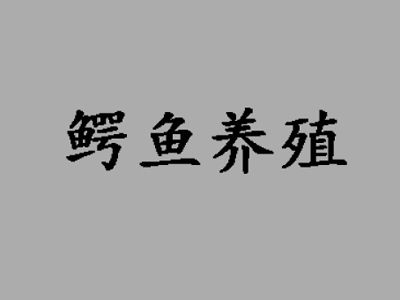 鳄鱼养殖品牌LOGO